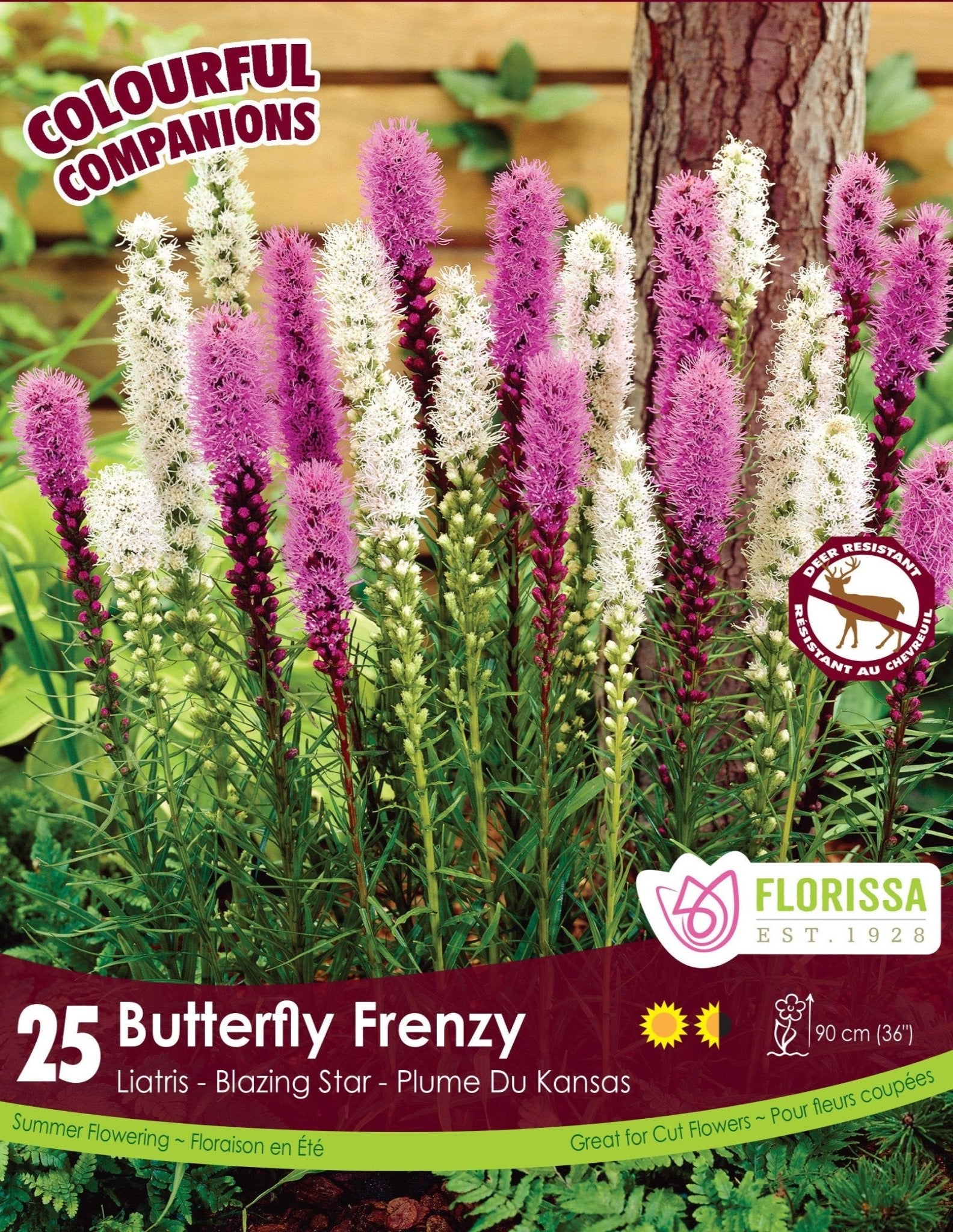 Butterfly Frenzy - Satellite Garden Centre