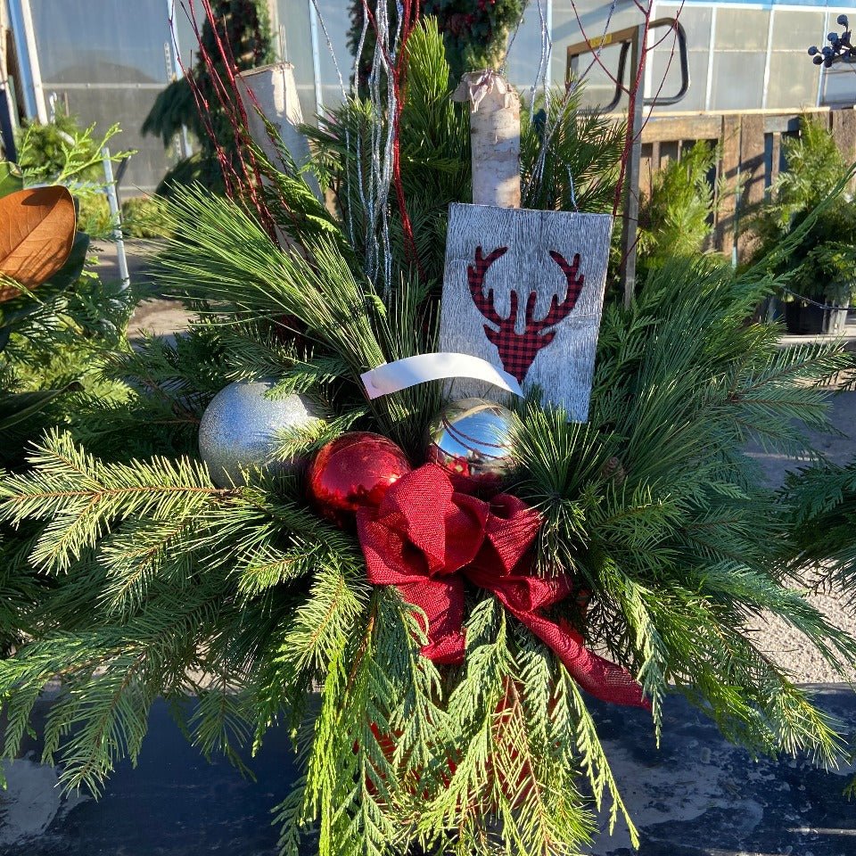 Christmas #34 - Satellite Garden Centre