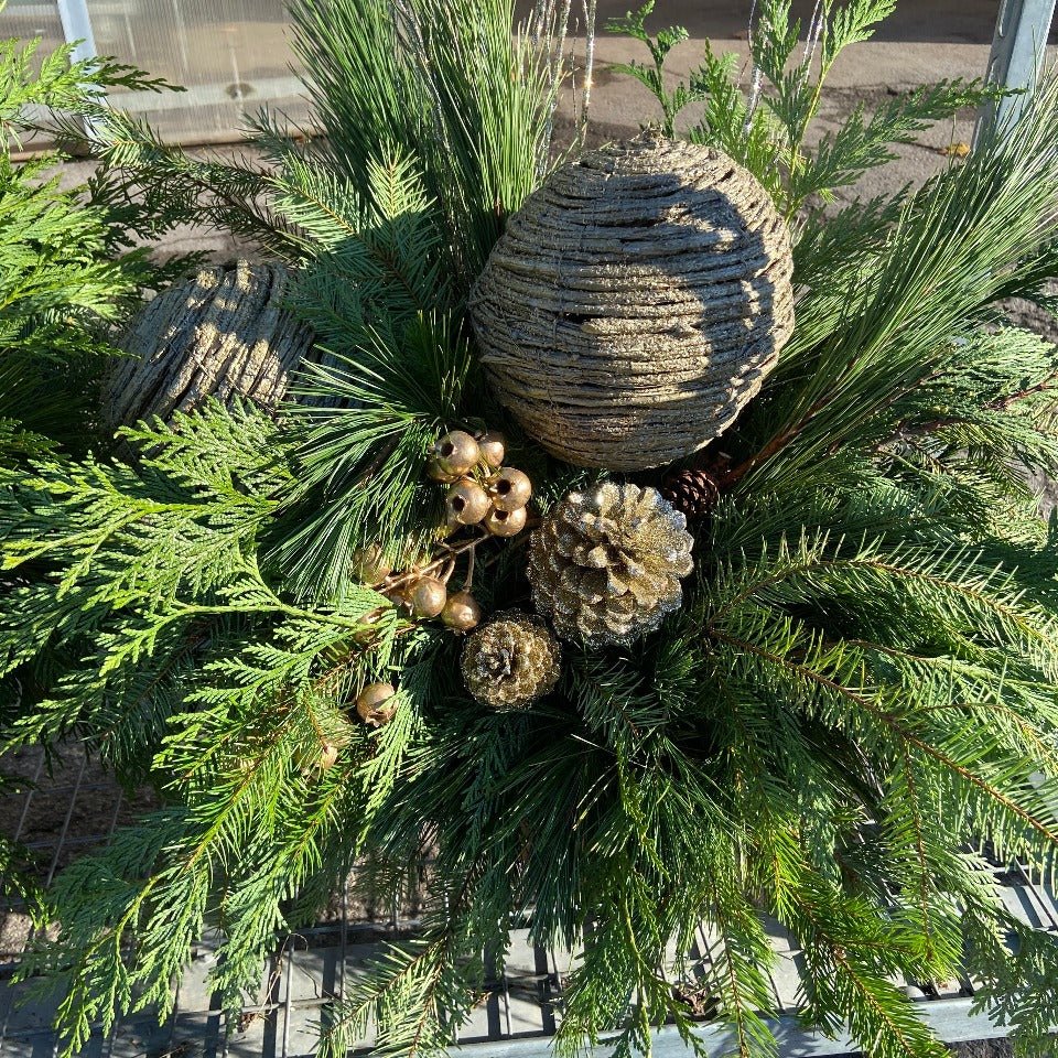 Christmas #45 - Satellite Garden Centre