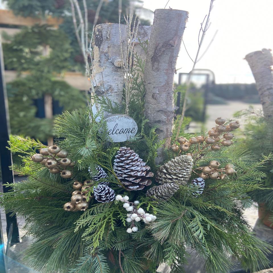 Christmas #56 - Satellite Garden Centre