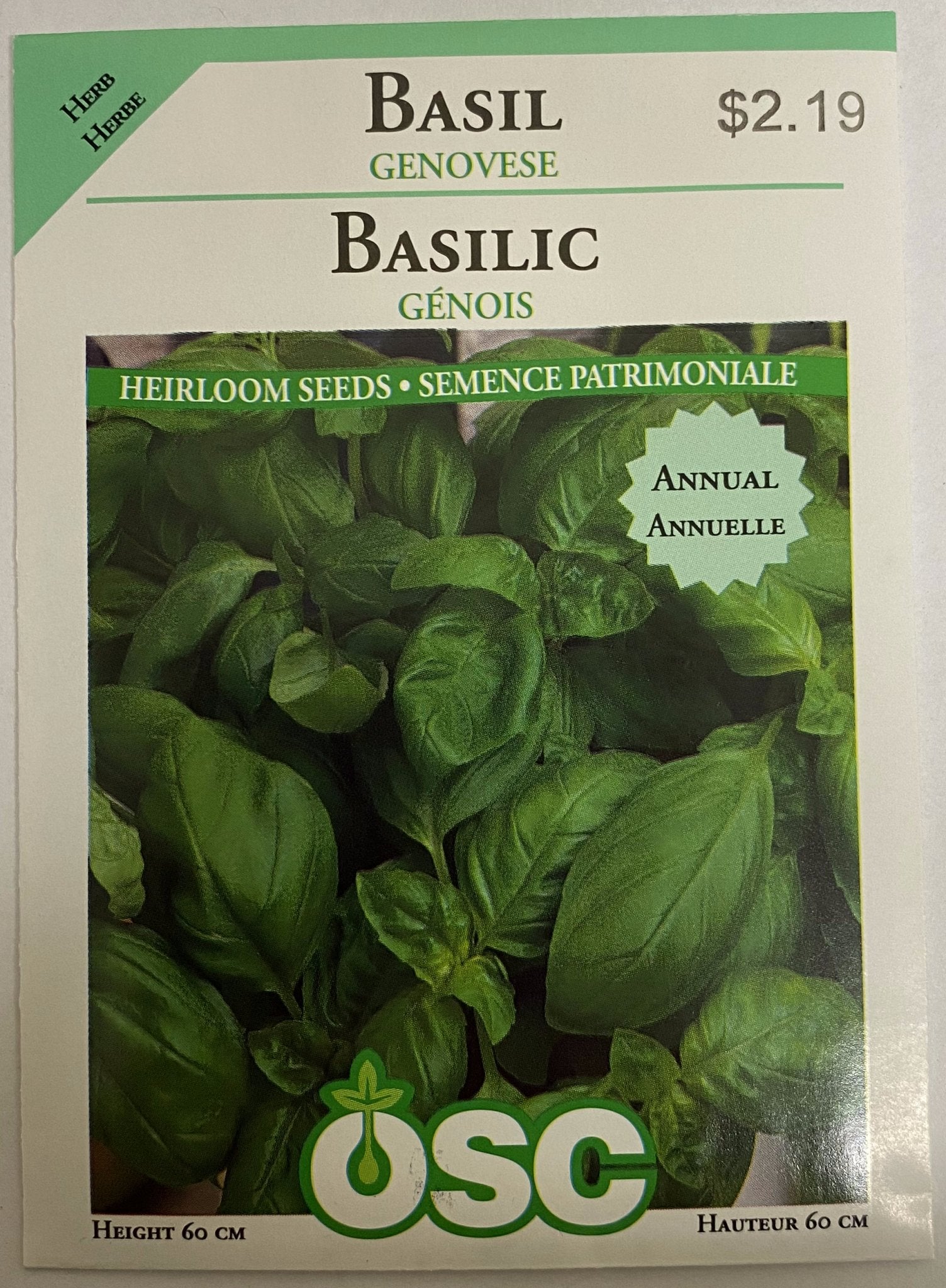 Basil - Genovese - Satellite Garden Centre
