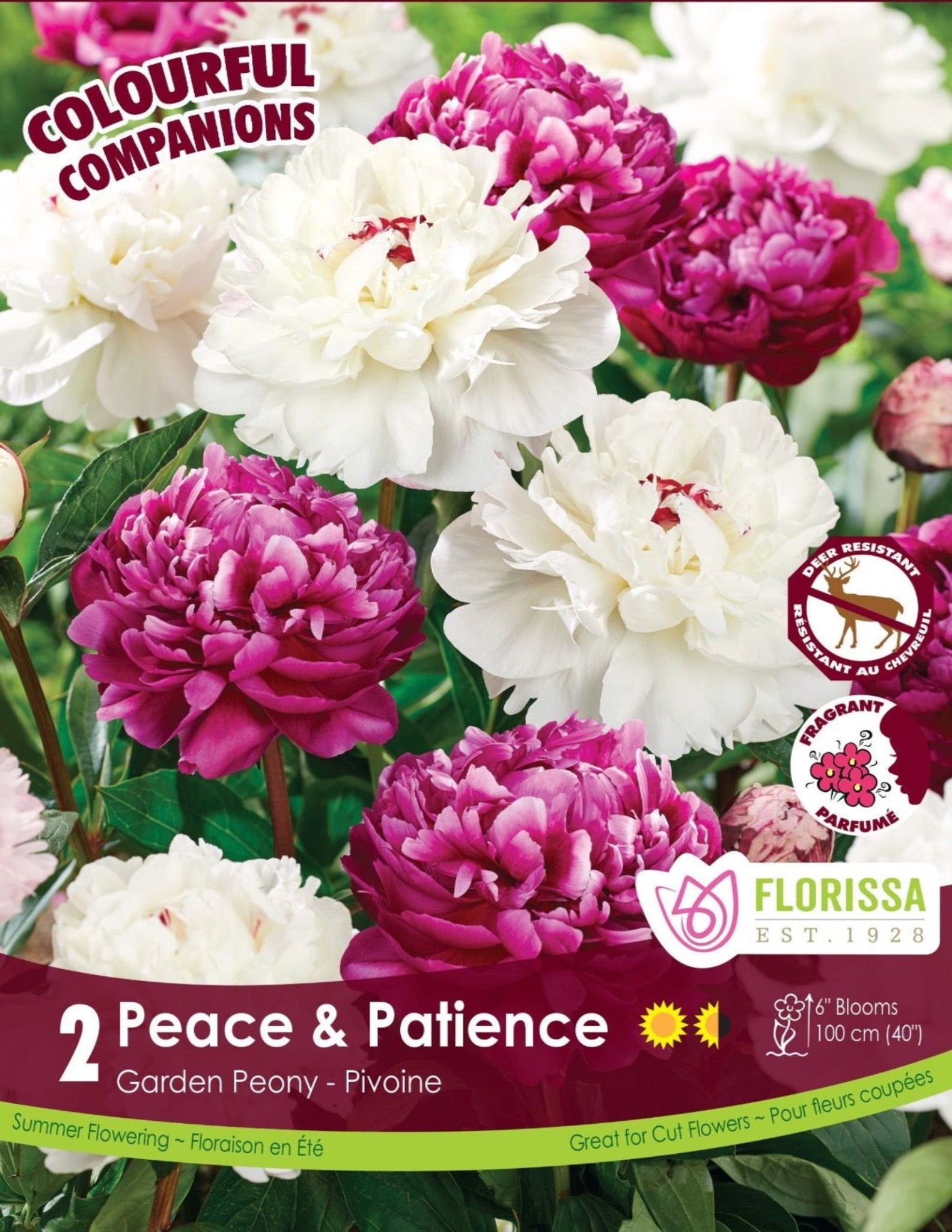 Peace & Patience - Satellite Garden Centre