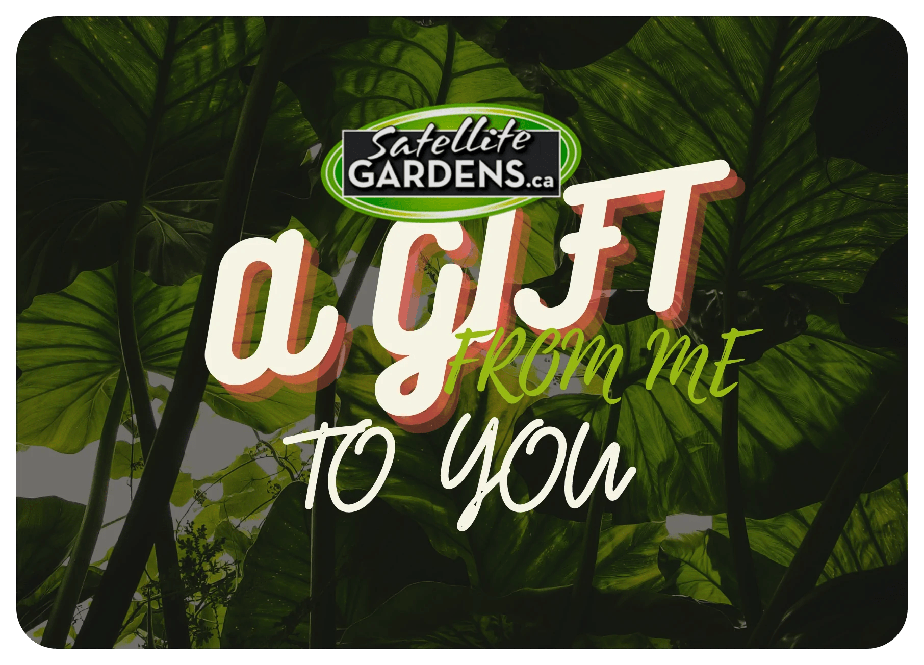 Gift Cards - Satellite Garden Centre 