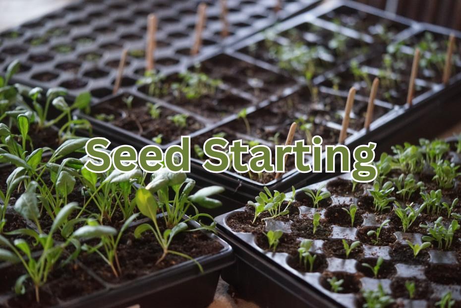 Tools & Supplies - Satellite Garden Centre 