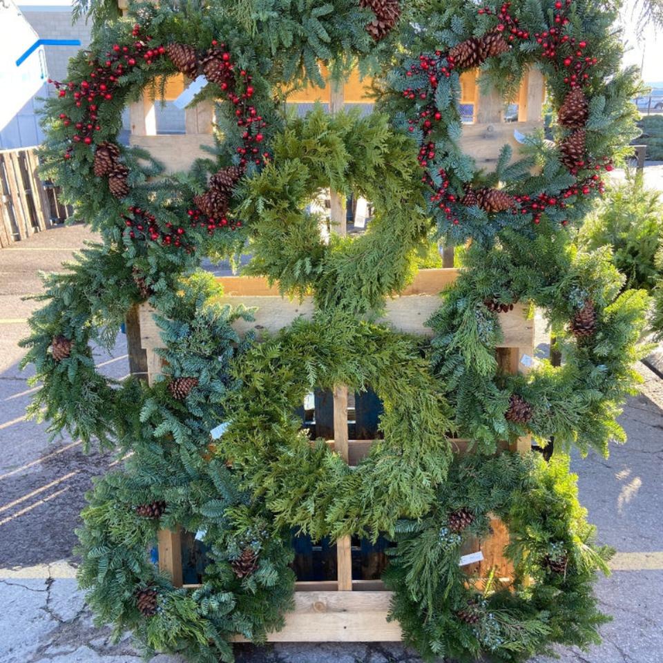 Balsam Wreaths - Satellite Garden Centre