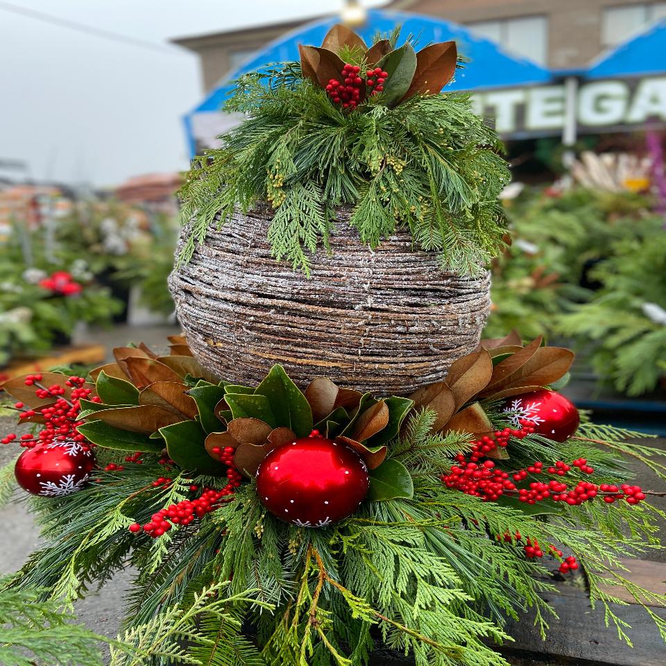 Christmas #15 - Satellite Garden Centre