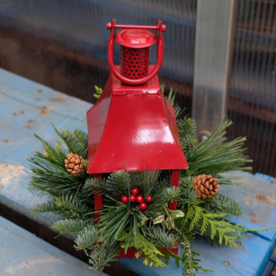 Christmas #2 - Satellite Garden Centre