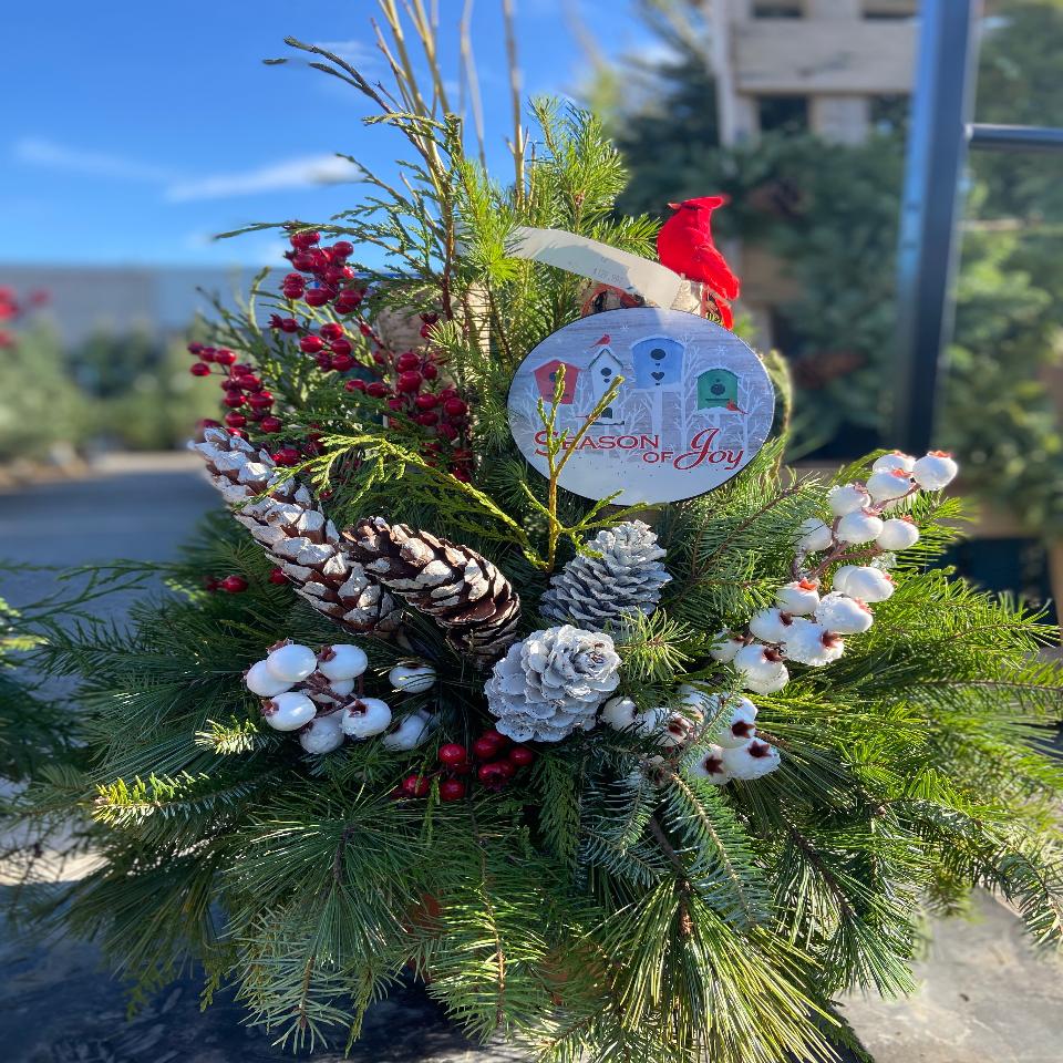 Christmas #22 - Satellite Garden Centre
