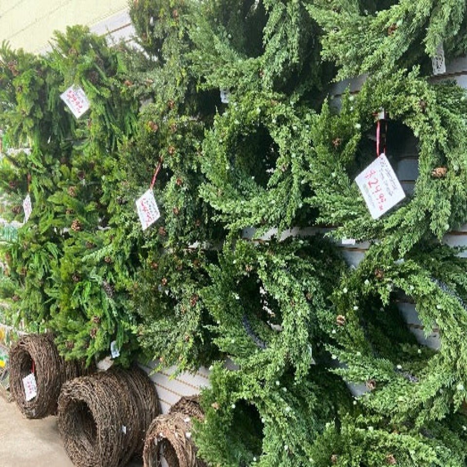 Christmas #24 - Satellite Garden Centre
