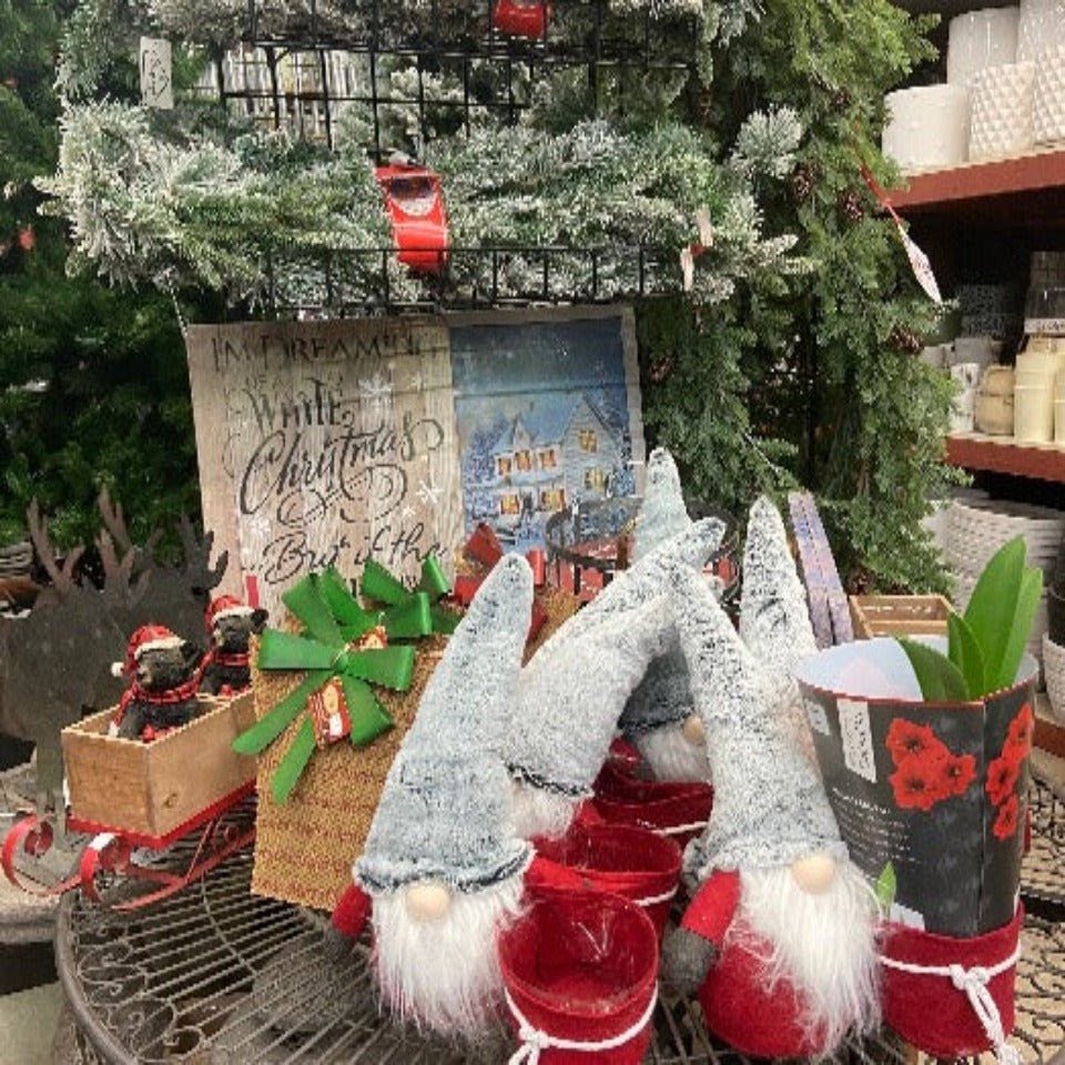 Christmas #28 - Satellite Garden Centre