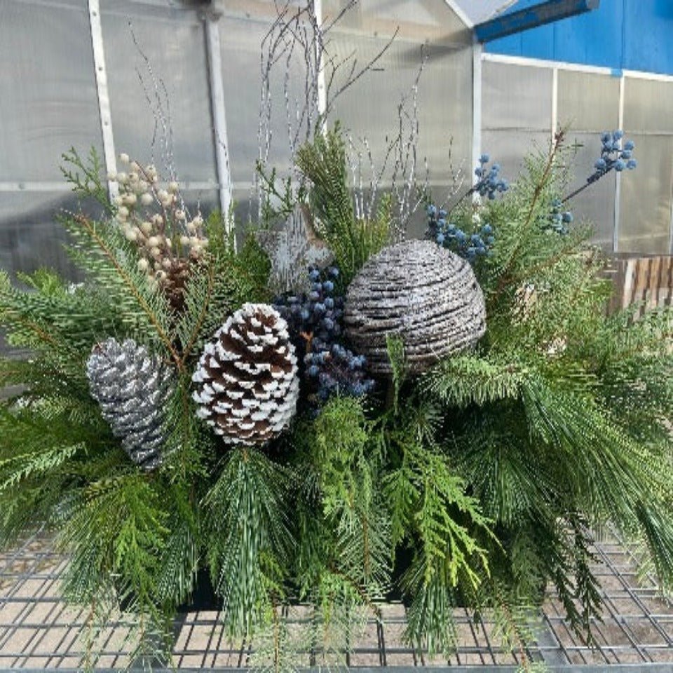 Christmas #29 - Satellite Garden Centre