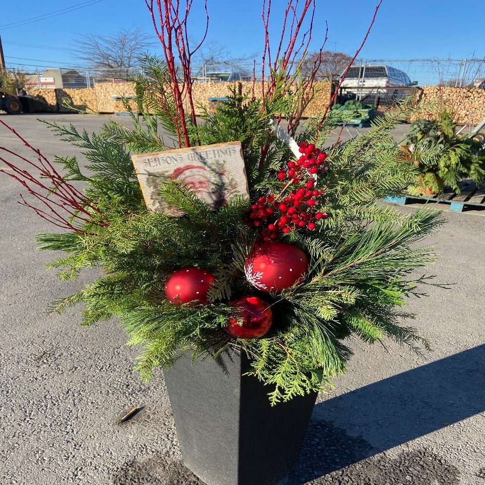 Christmas #31 - Satellite Garden Centre