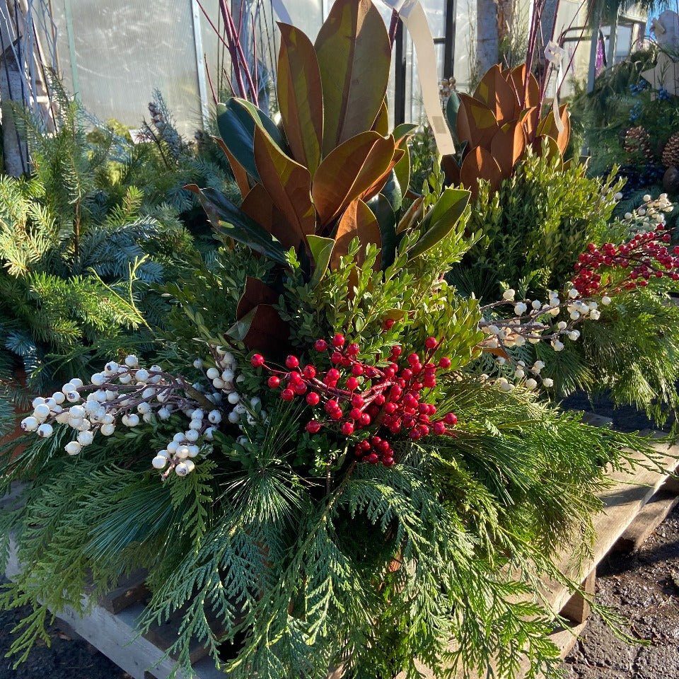 Christmas #36 - Satellite Garden Centre