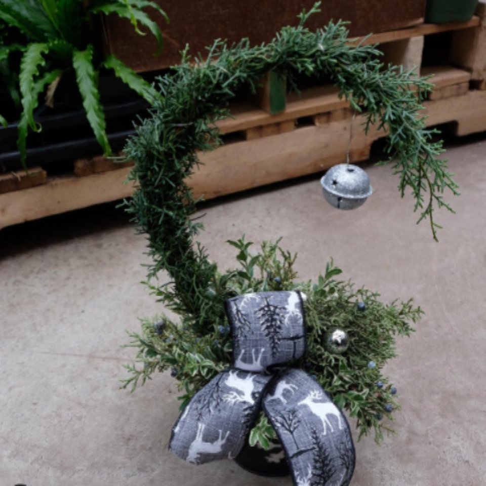 Christmas #4 - Satellite Garden Centre