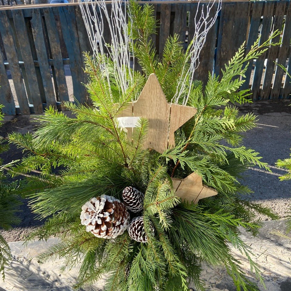 Christmas #41 - Satellite Garden Centre