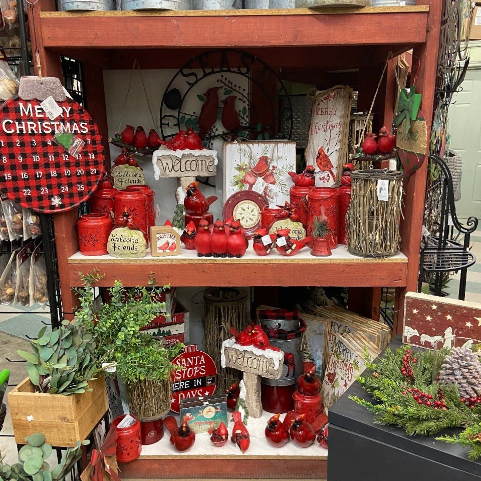 Christmas #44 - Satellite Garden Centre