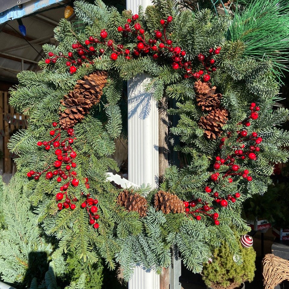 Christmas #46 - Satellite Garden Centre