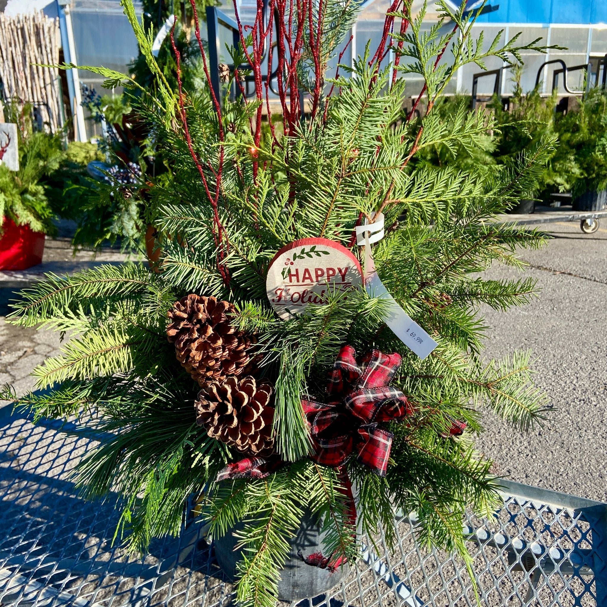 Christmas #49 - Satellite Garden Centre