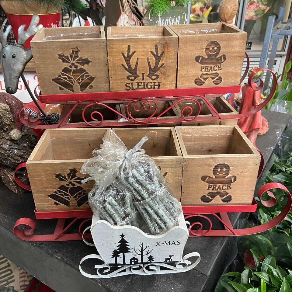 Christmas #5 - Satellite Garden Centre