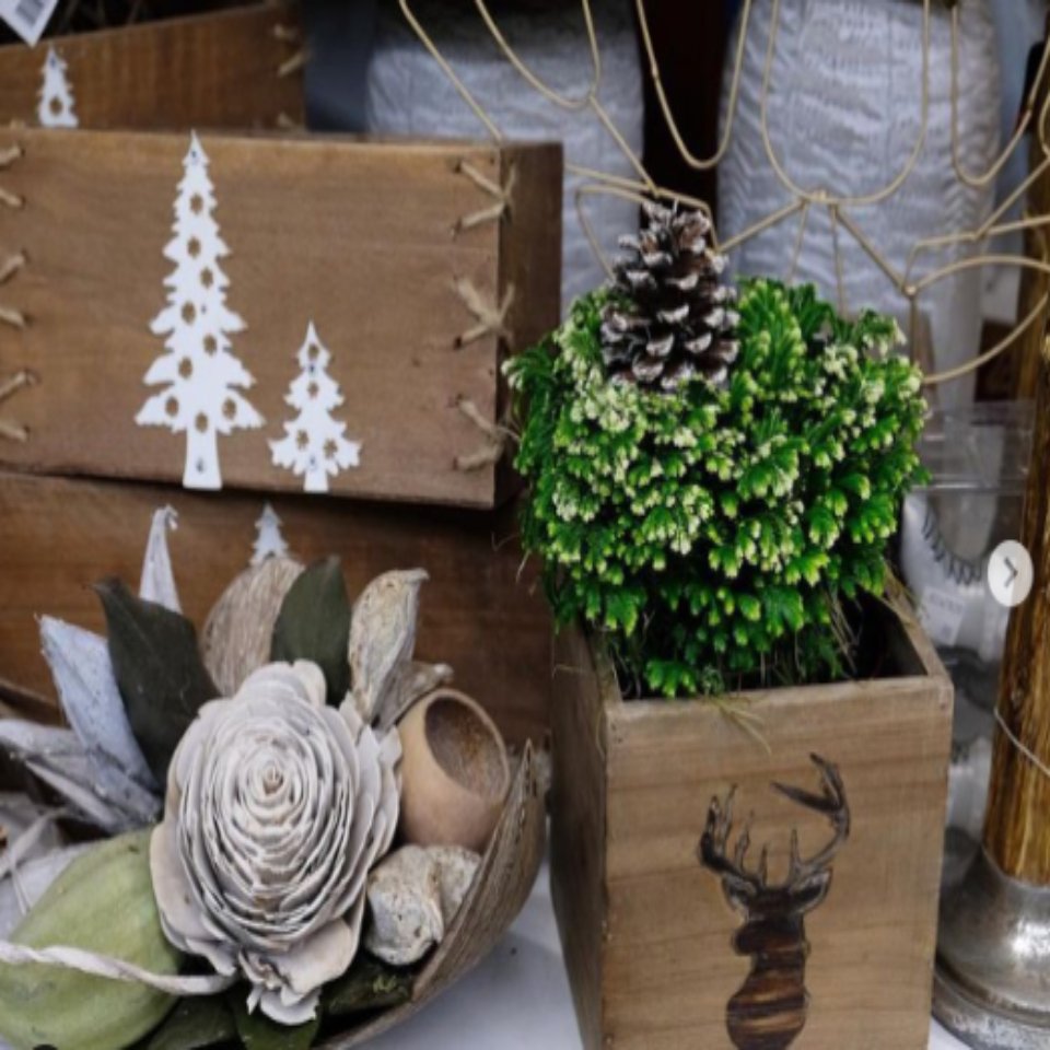 Christmas #51 - Satellite Garden Centre