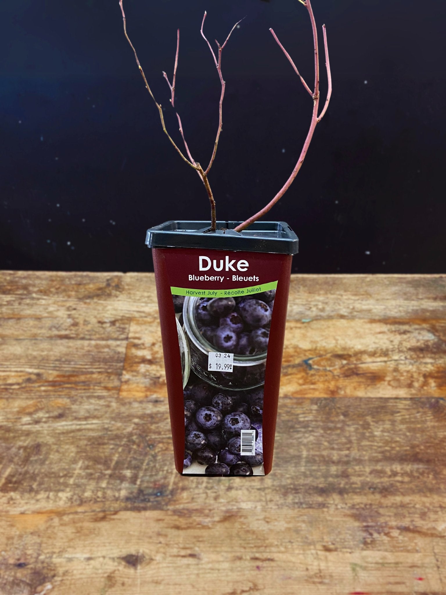Duke Berry - Satellite Garden Centre