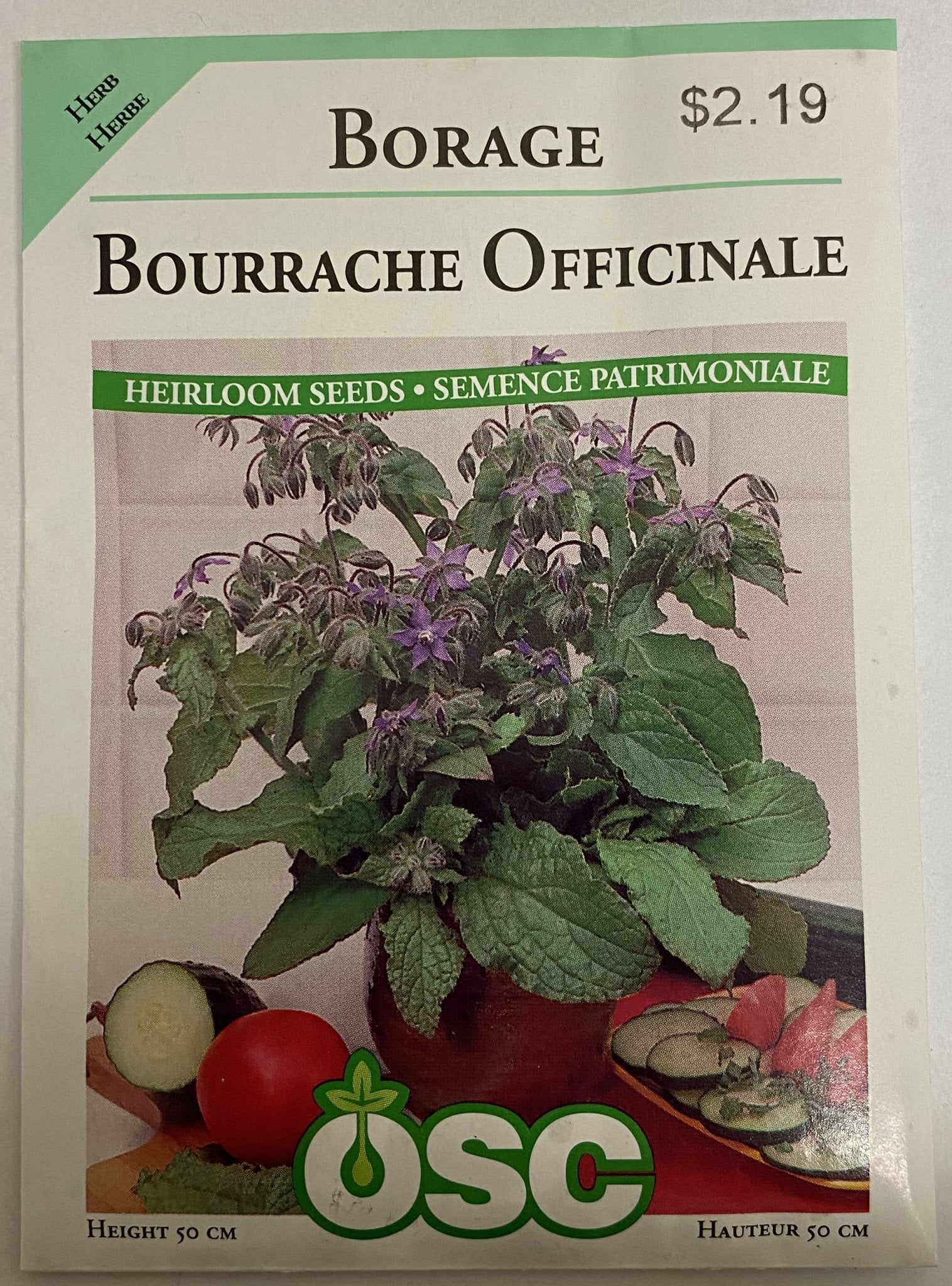 Borage - Satellite Garden Centre