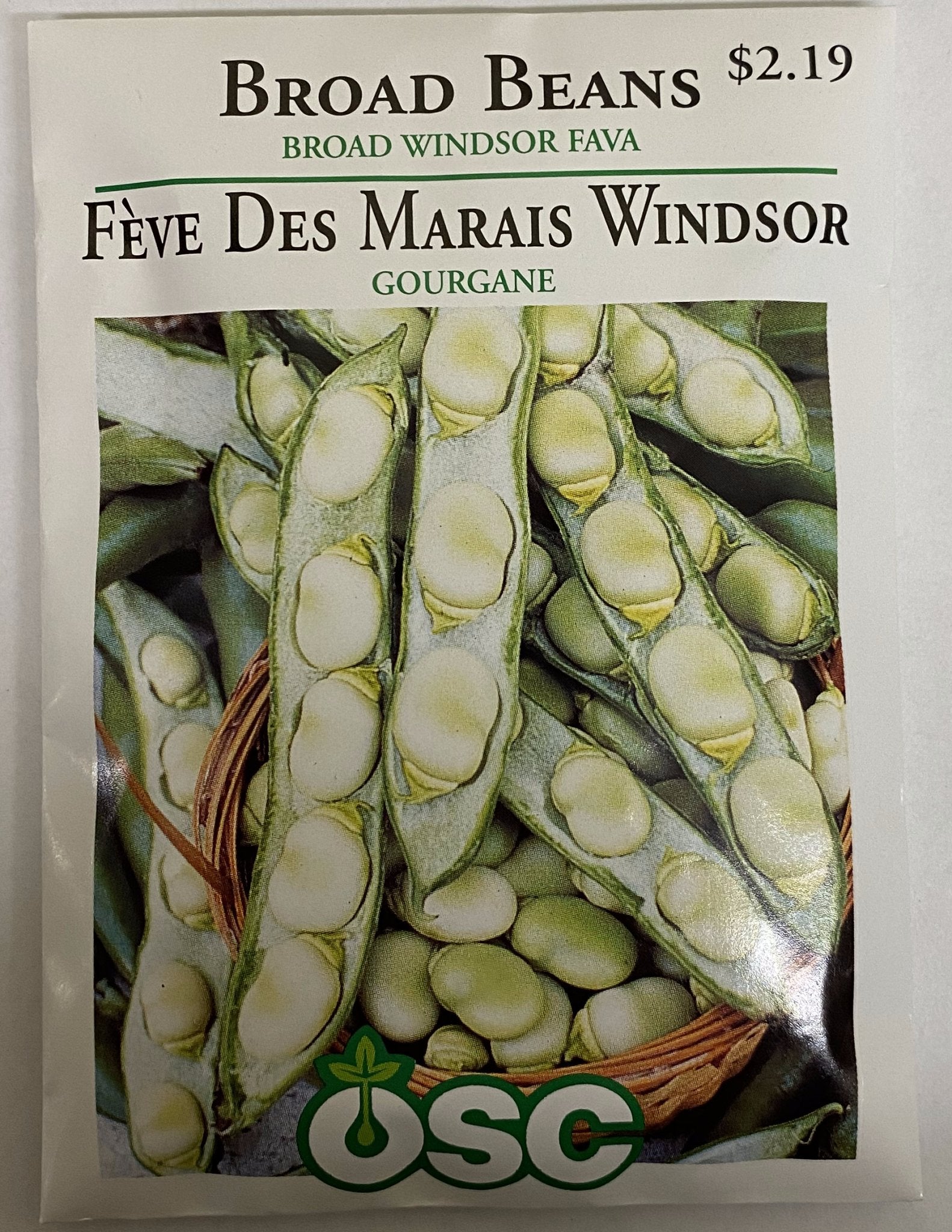 Broad Beans - Broad Windsor Fava - Satellite Garden Centre