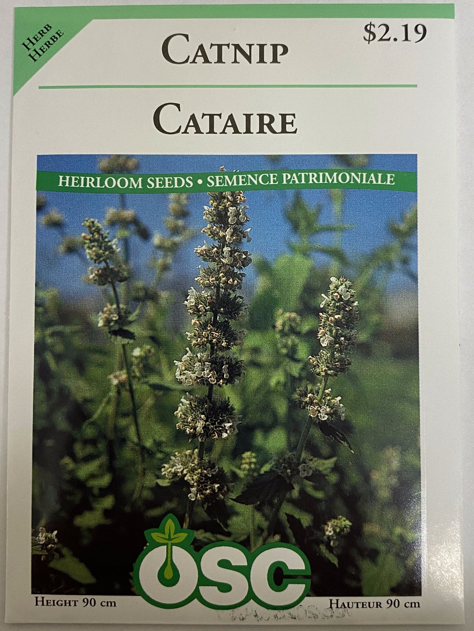 Catnip - Satellite Garden Centre