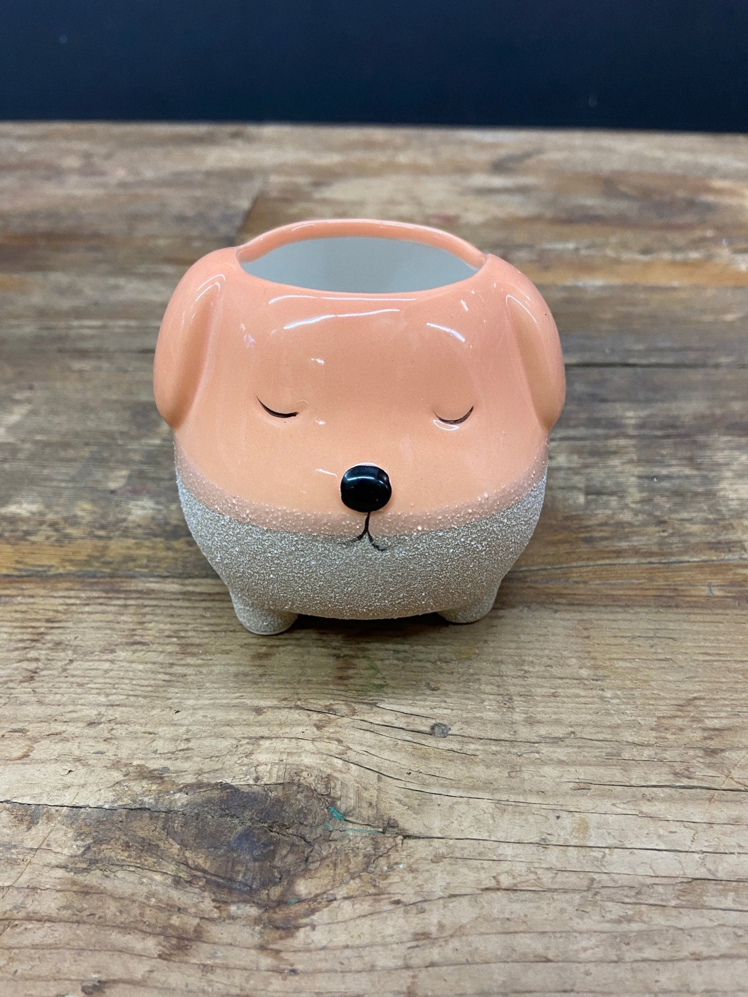 Cute Doggy Pot - Satellite Garden Centre