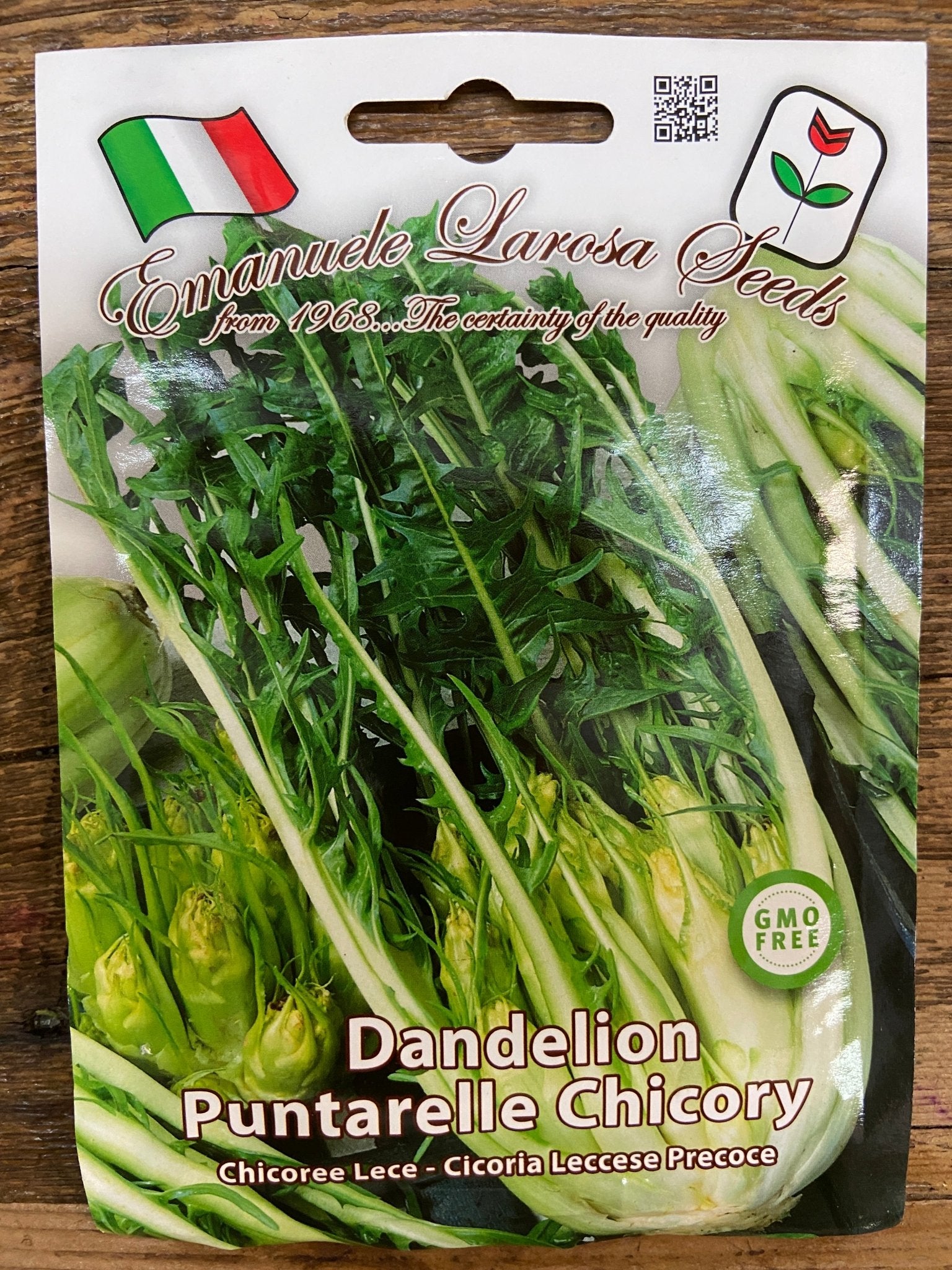 Dandelion Puntarelle Chicory - Satellite Garden Centre