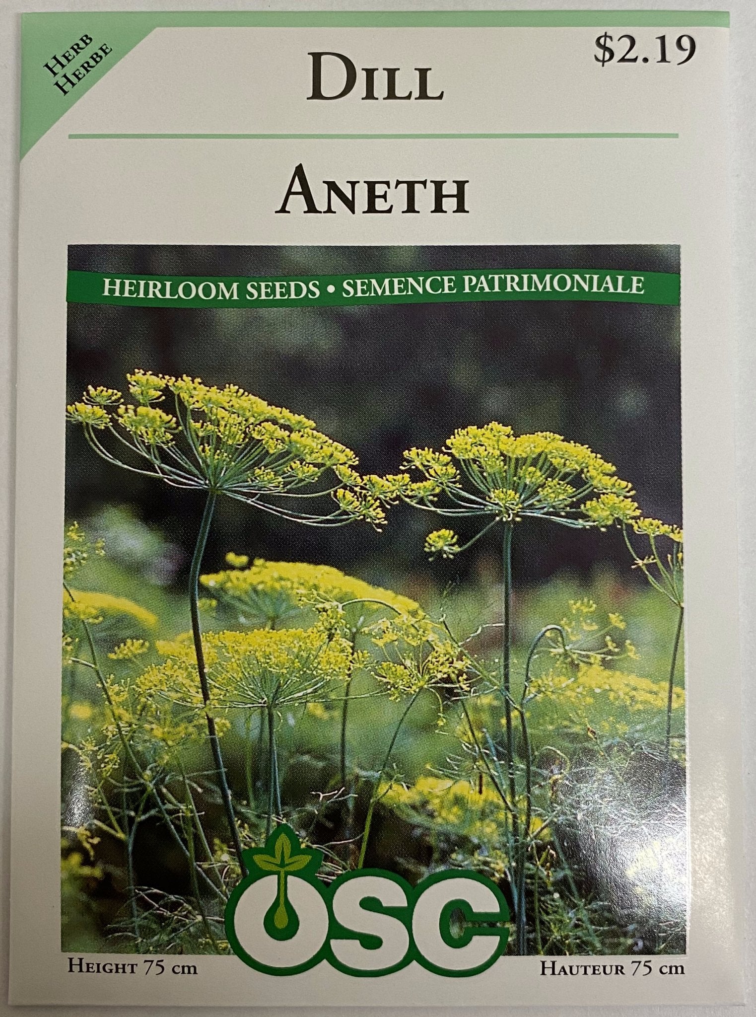 Dill - Satellite Garden Centre