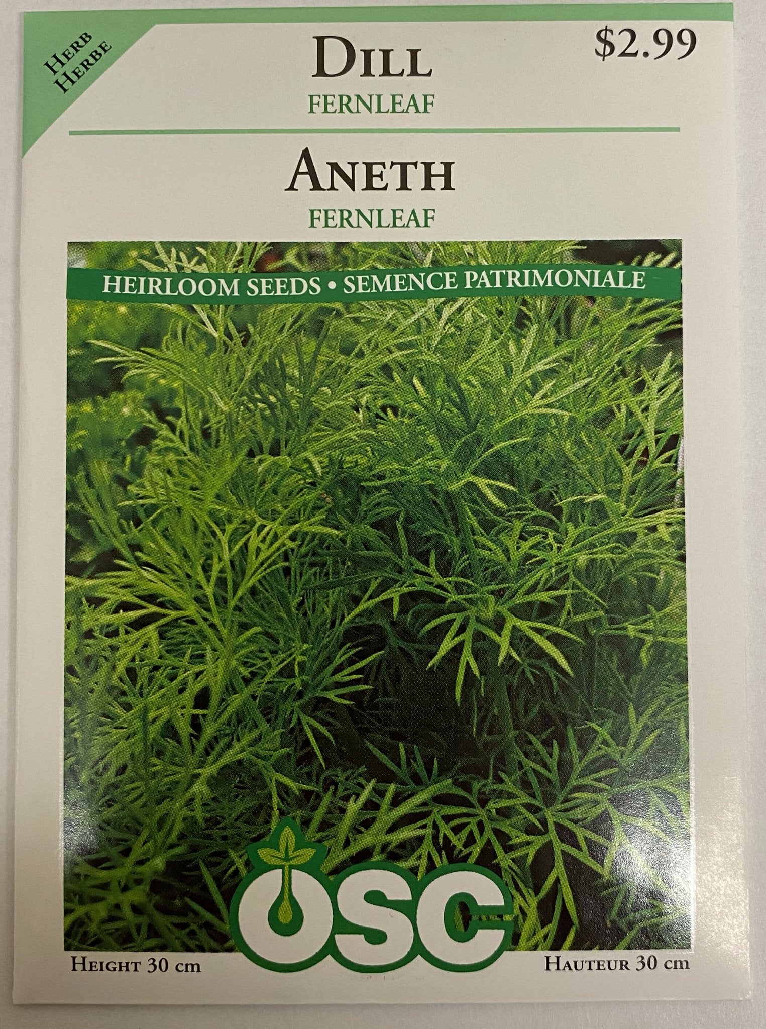 Dill - Fernleaf - Satellite Garden Centre