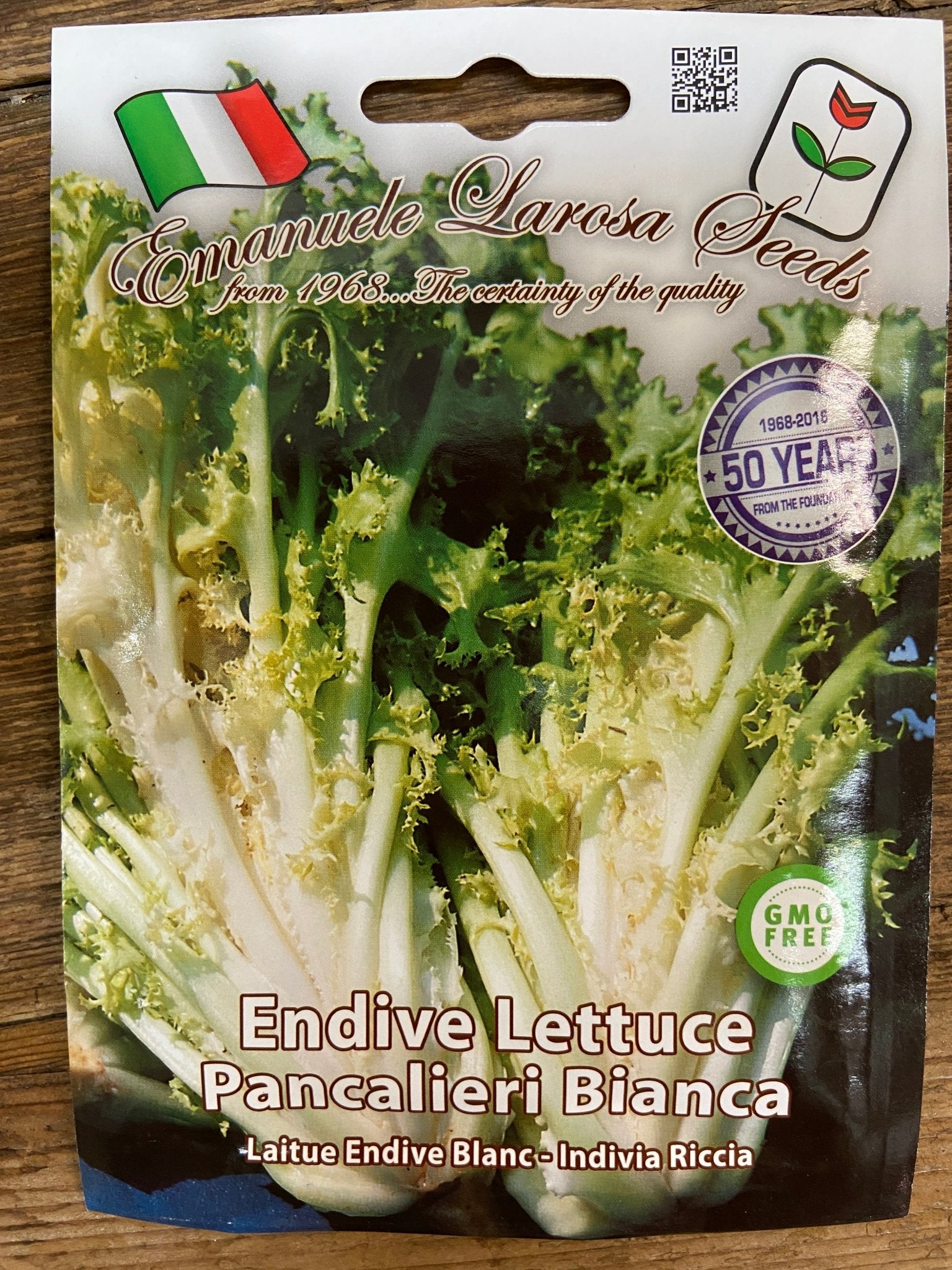 Endive Lettuce - Satellite Garden Centre