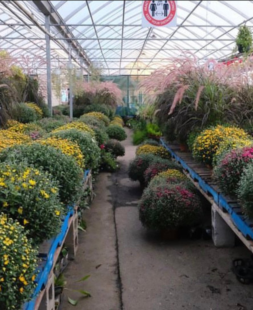 Gallery #82 - Satellite Garden Centre