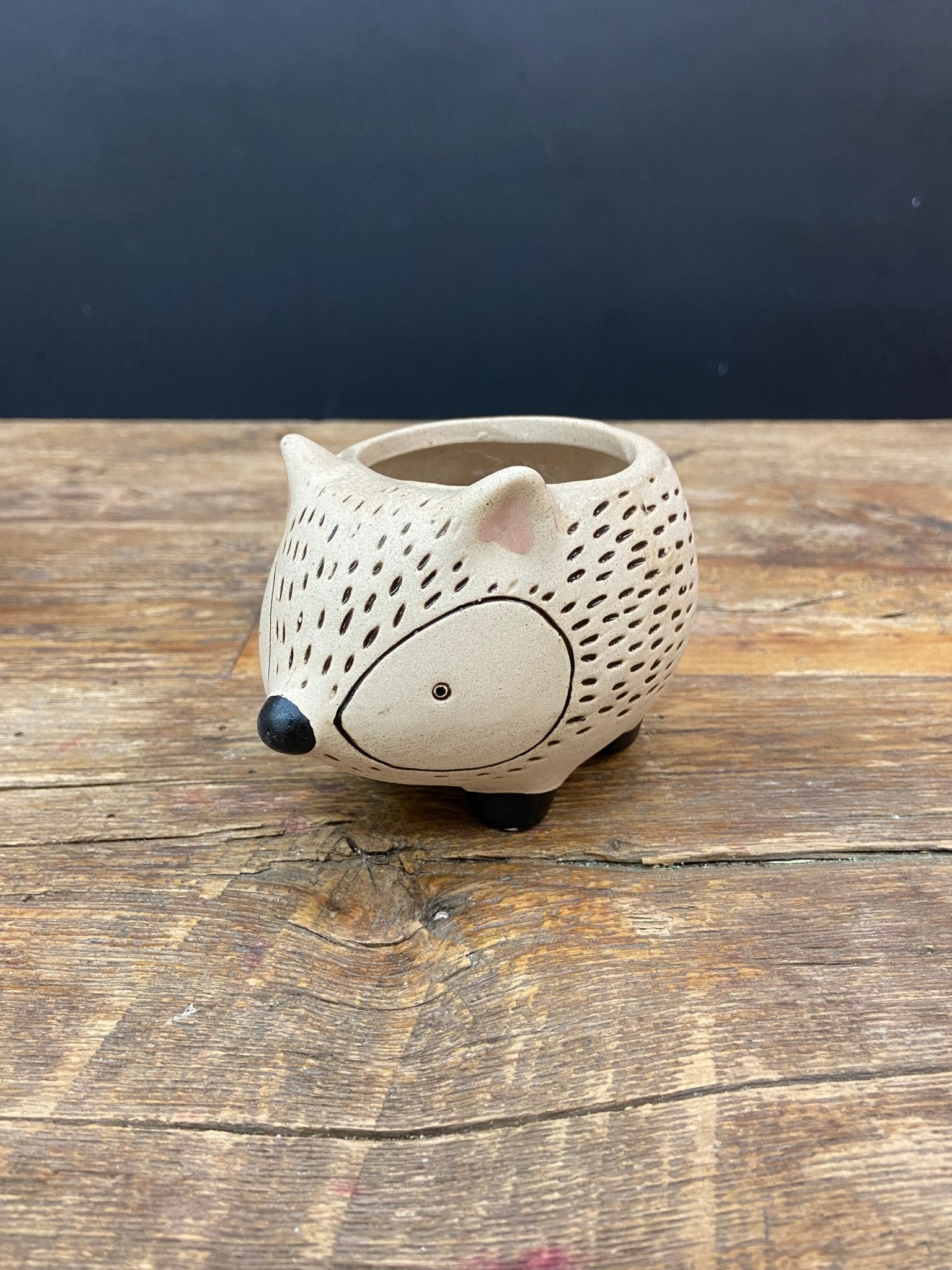 HedgeHog Pot - Satellite Garden Centre