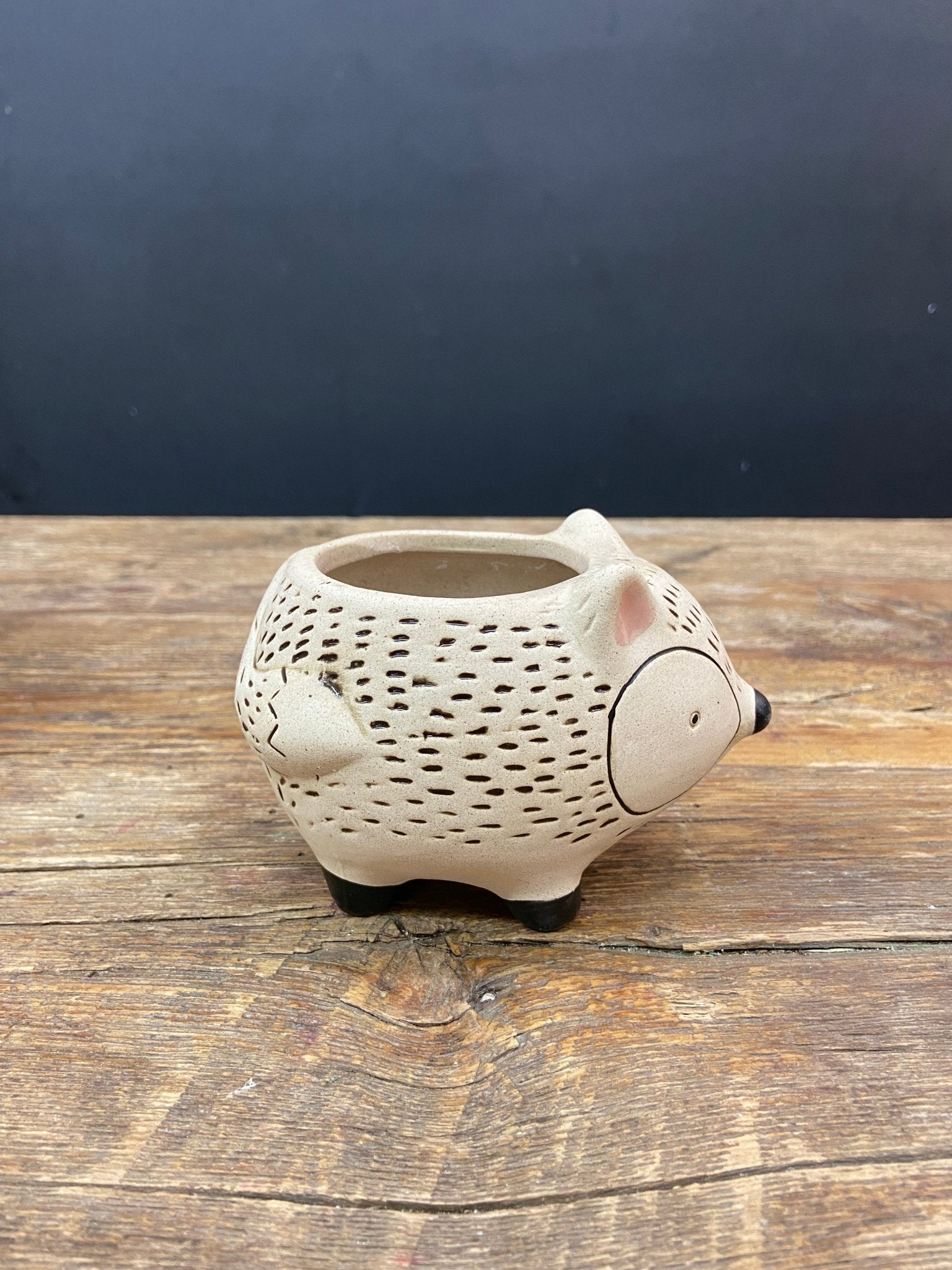 HedgeHog Pot - Satellite Garden Centre