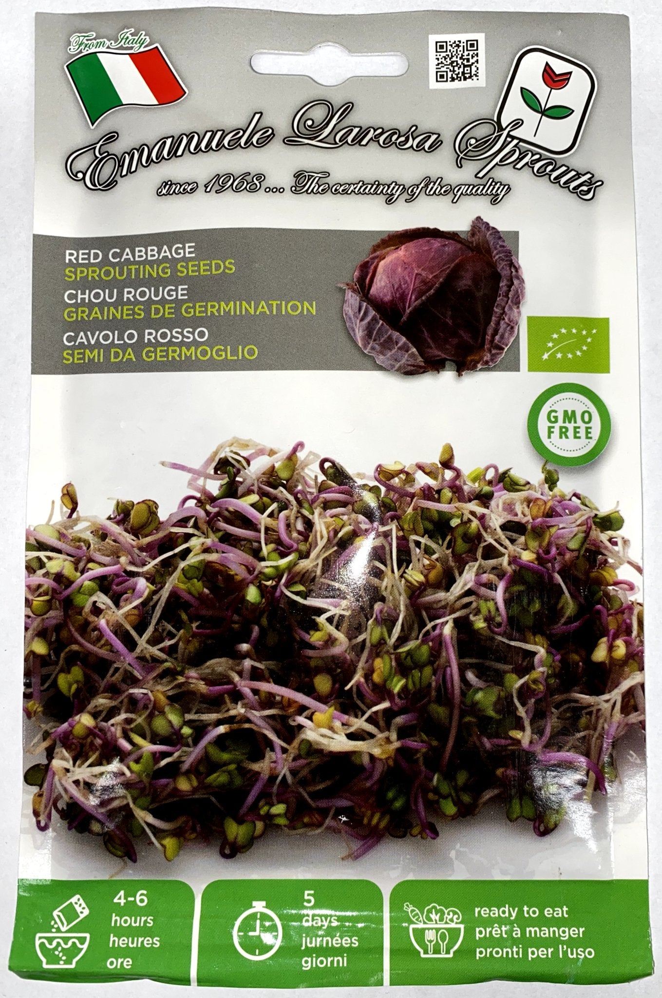 Red Cabbbage Sprouting Seeds - Satellite Garden Centre