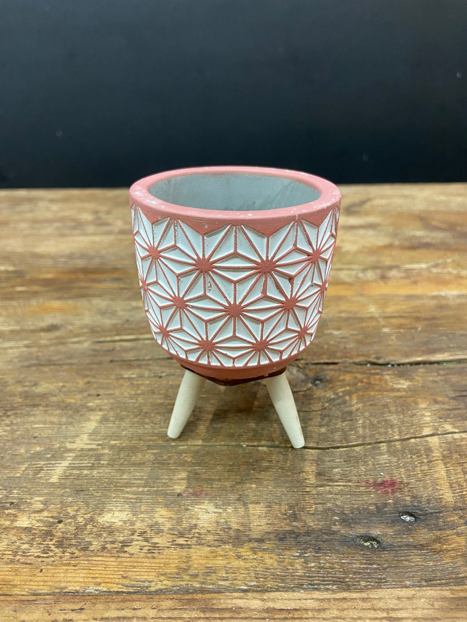 Succulent Trophy Pot - Satellite Garden Centre