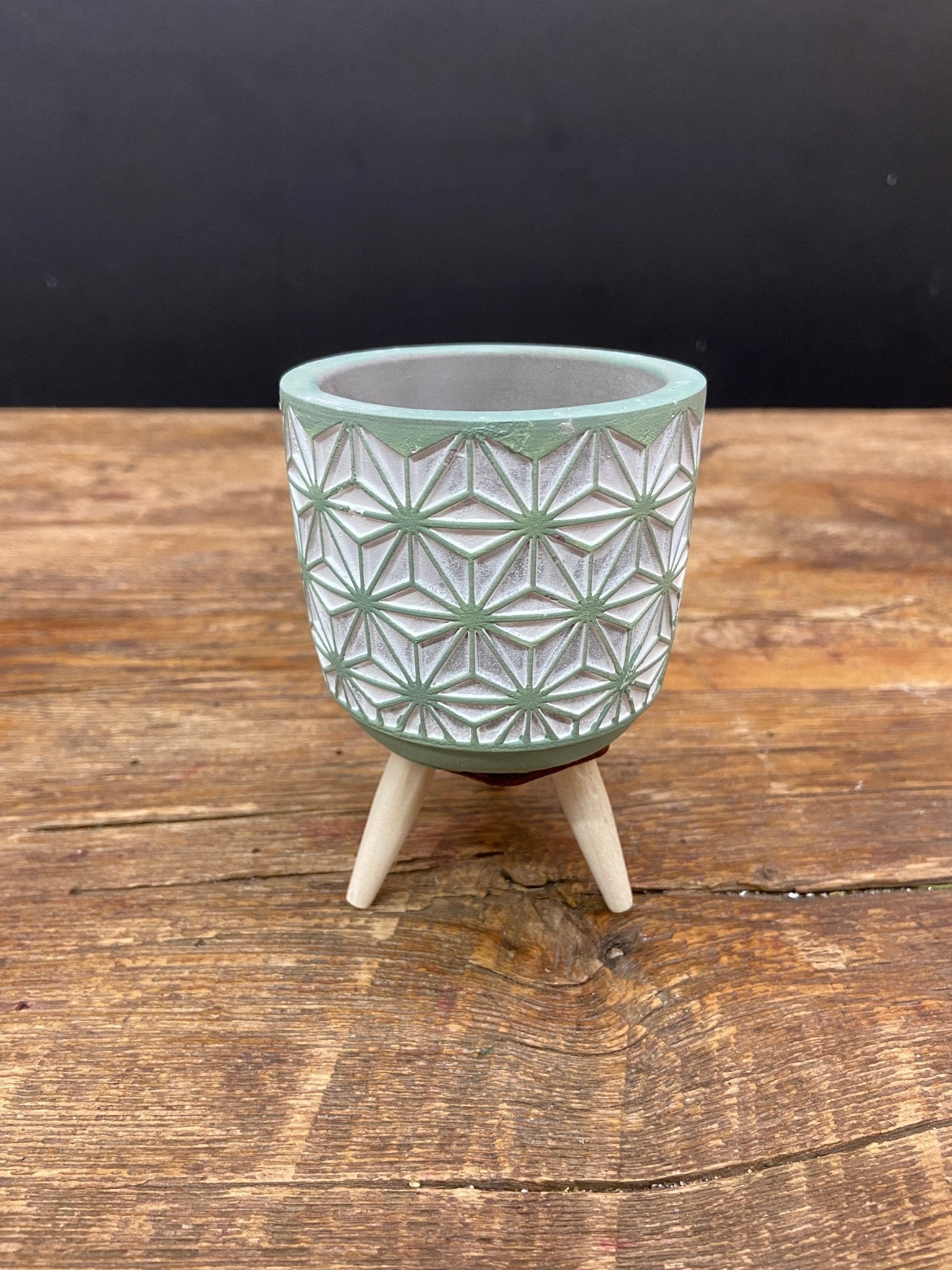 Succulent Trophy Pot - Satellite Garden Centre