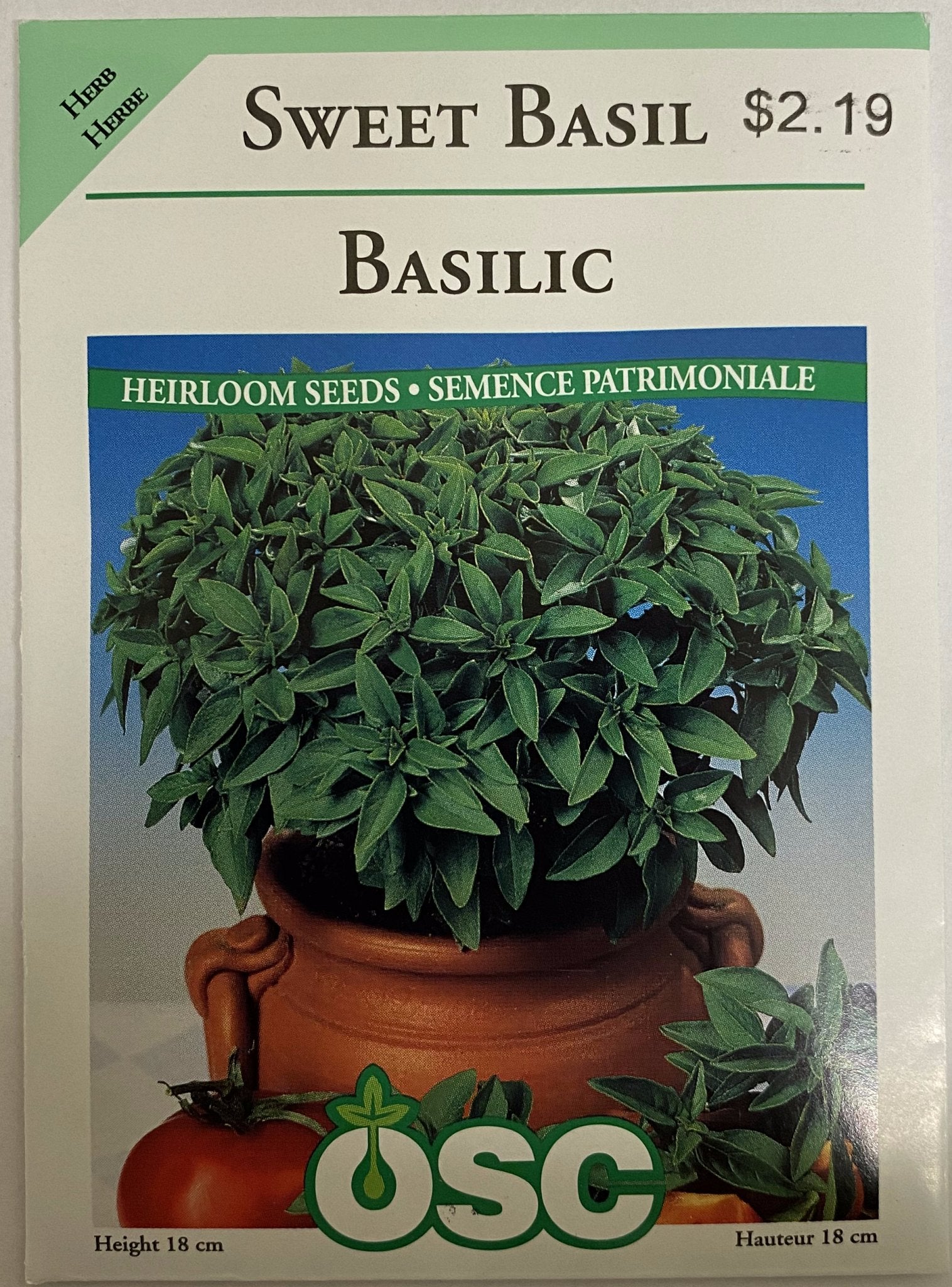 Sweet Basil - Satellite Garden Centre