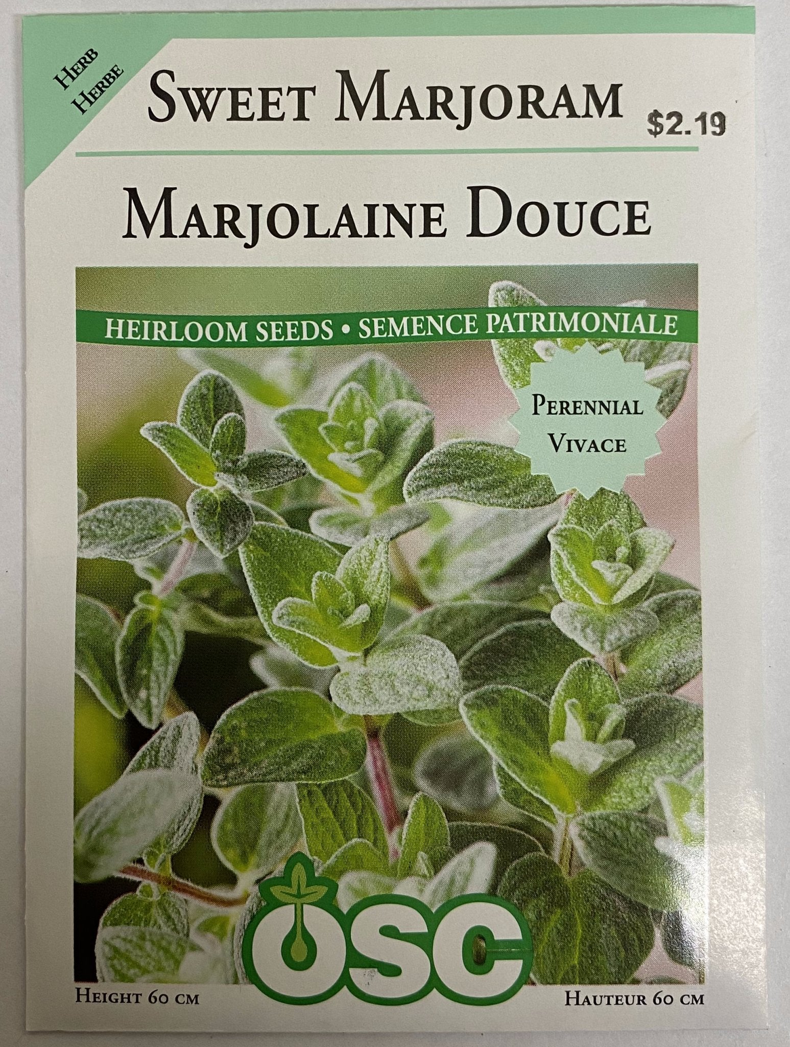 Sweet Marjoram - Satellite Garden Centre