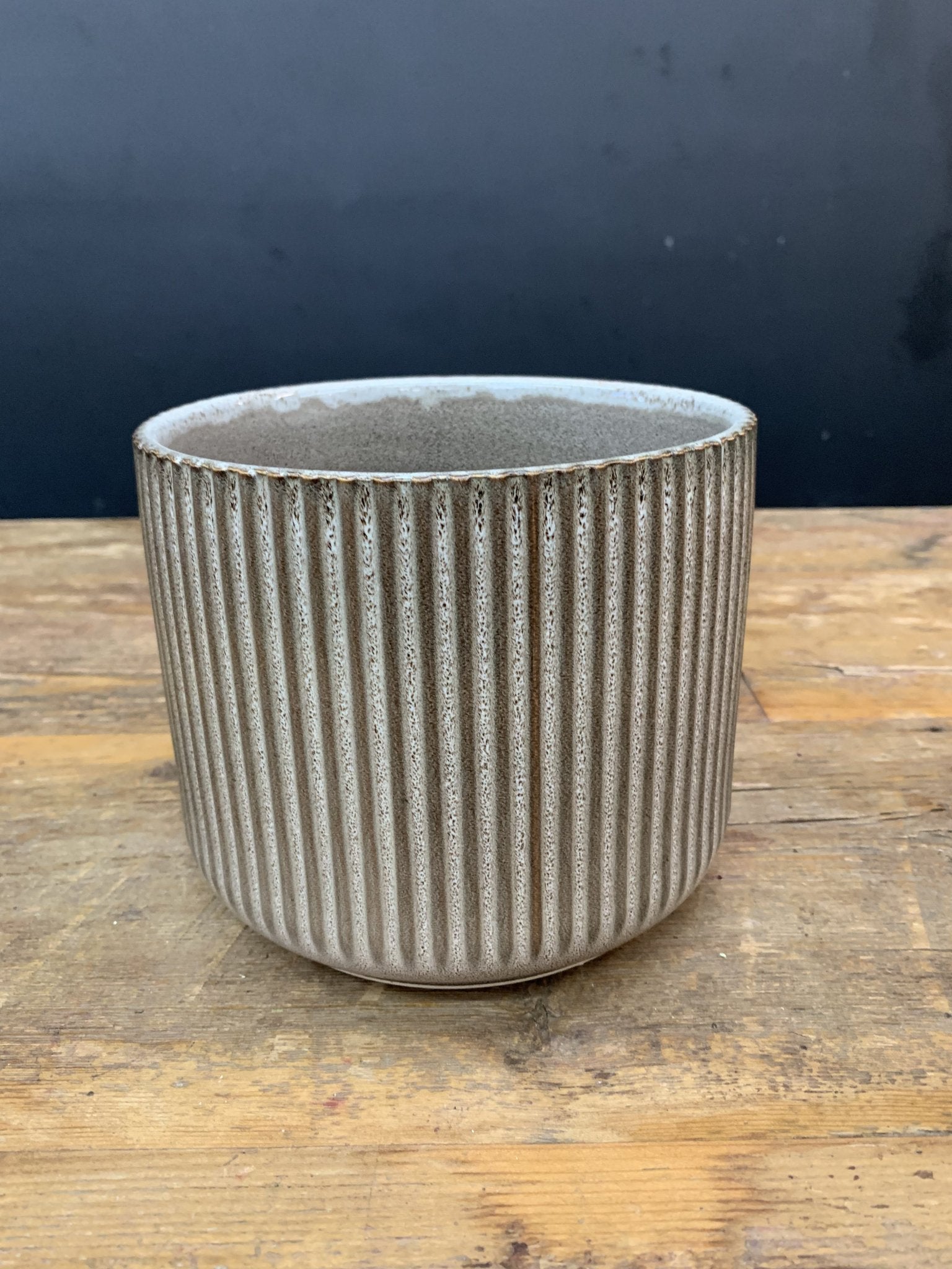 Tan Stripes - Satellite Garden Centre