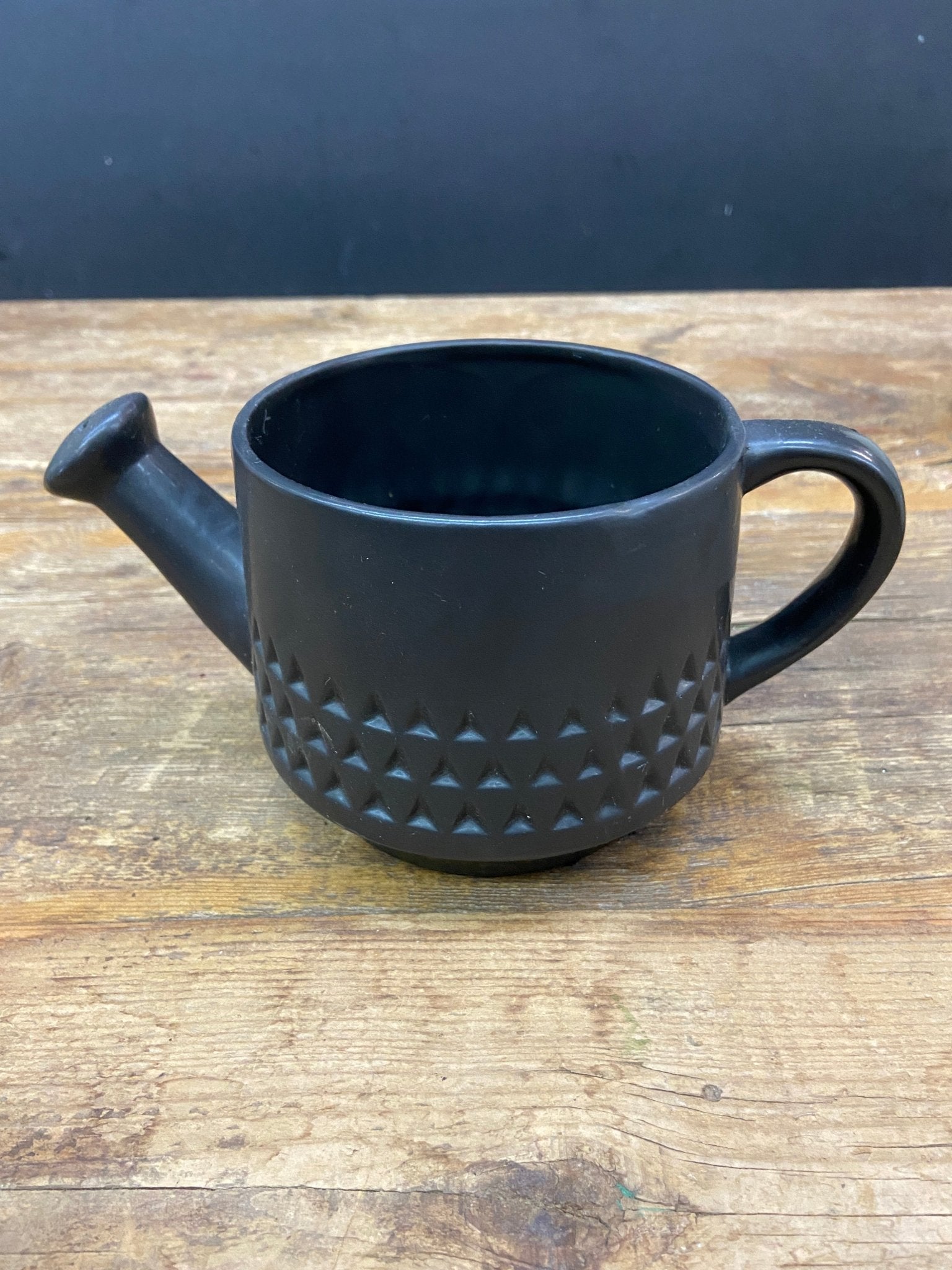 Watering Jug Pot - Satellite Garden Centre